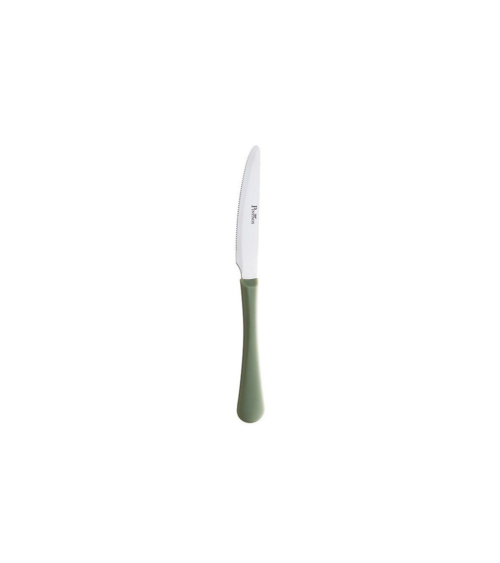 Coltello Stresa Colour manico salvia » Vendita Online » Pinti Inox