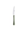 Coltello Stresa Colour manico salvia » Vendita Online » Pinti Inox