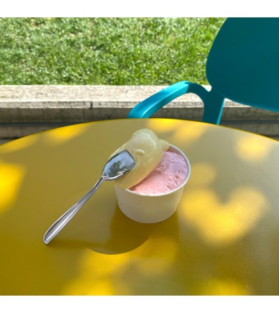 Use&Reuse Ice-cream spoon » Online Shop » Pinti Inox