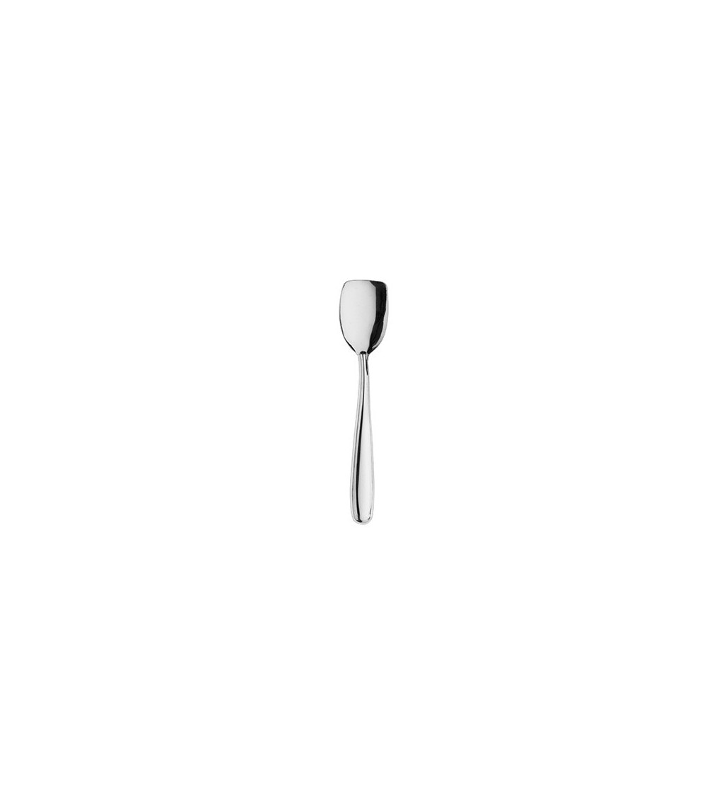 Use&Reuse Ice-cream spoon » Online Shop » Pinti Inox