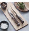 P WOOD meat knives - 4 Large Size » Online Shop » Pinti Inox