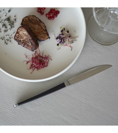 Audrey meat Knife with serrated and smooth blade » Online Shop » Pinti Inox