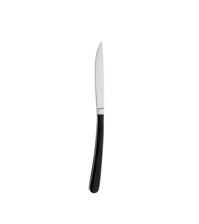 Coltello bistecca Kobe lama liscia e lama seghettata » Vendita Online » Pinti Inox