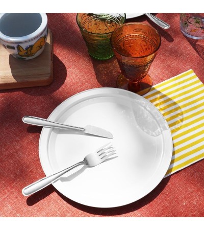 set 6pcs white steel plate for picnic and party » Online Shop » Pinti Inox