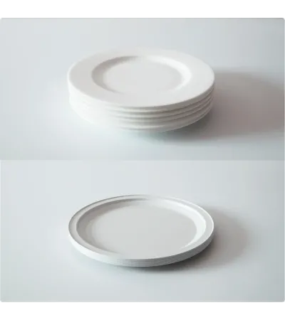 set 6pcs white steel plate for picnic and party » Online Shop » Pinti Inox